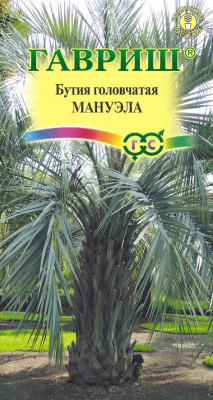 Бутия головчатая Мануэла 3шт Бутия головчатая Мануэла 3шт