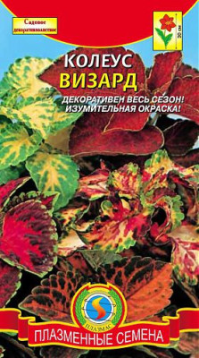 Колеус Визард смесь 10шт +