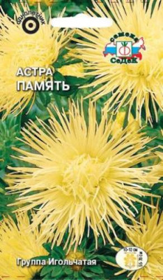 Астра Память (игольчатая, желтая)