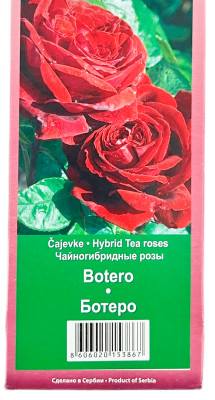 Чайногибридная роза БОТЕРО BOTERO
