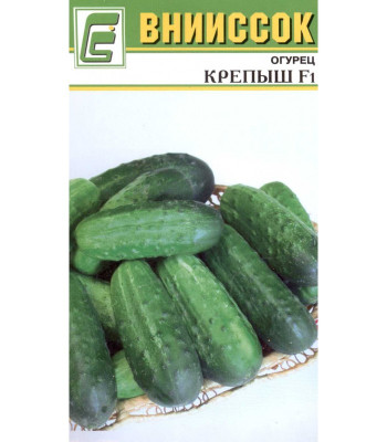 Огурец Крепыш F1