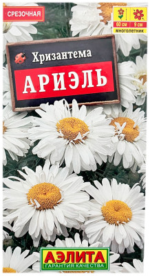 Хризантема АРИЭЛЬ АЭЛИТА