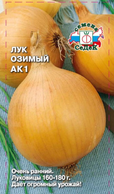 Лук озимый АК1