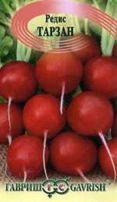 Редис Тарзан 1,0 г (Голландия)
