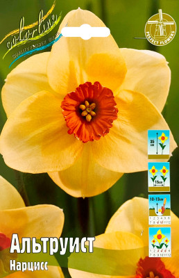 Нарцисс Альтруист (1шт)