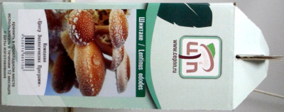 Грибы Мицелий в грибных грядках Шиитаке