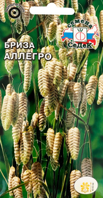 Бриза Аллегро максима (трясунка большая) 0,5г