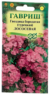 Гвоздика бородатая турецкая ЛОСОСЕВАЯ ГАВРИШ Гвоздика бородатая турецкая ЛОСОСЕВАЯ ГАВРИШ