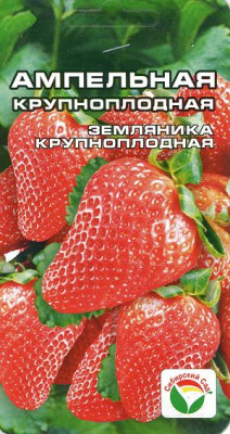 Земляника Ампельная Сибирский Сад