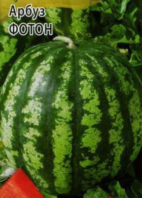 Арбуз Фотон 50,0 г