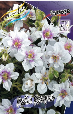 Гераниум Дабл Джуел (1шт)