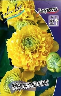 Калужница Мультиплекс (в упаковке 1шт)