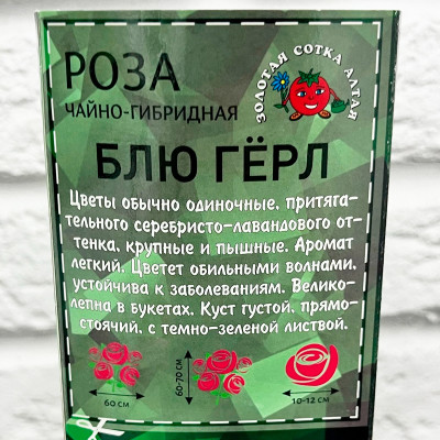 Роза чайно-гибридная БЛЮ ГЁРЛ описание